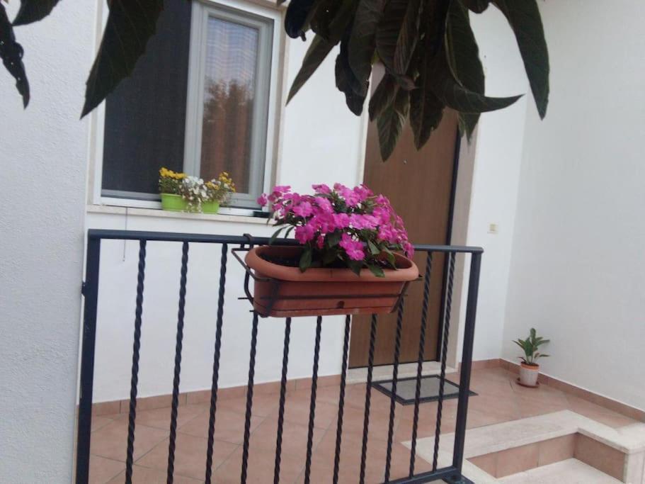 Casa Di Cristina Lejlighed Fiumicino Eksteriør billede