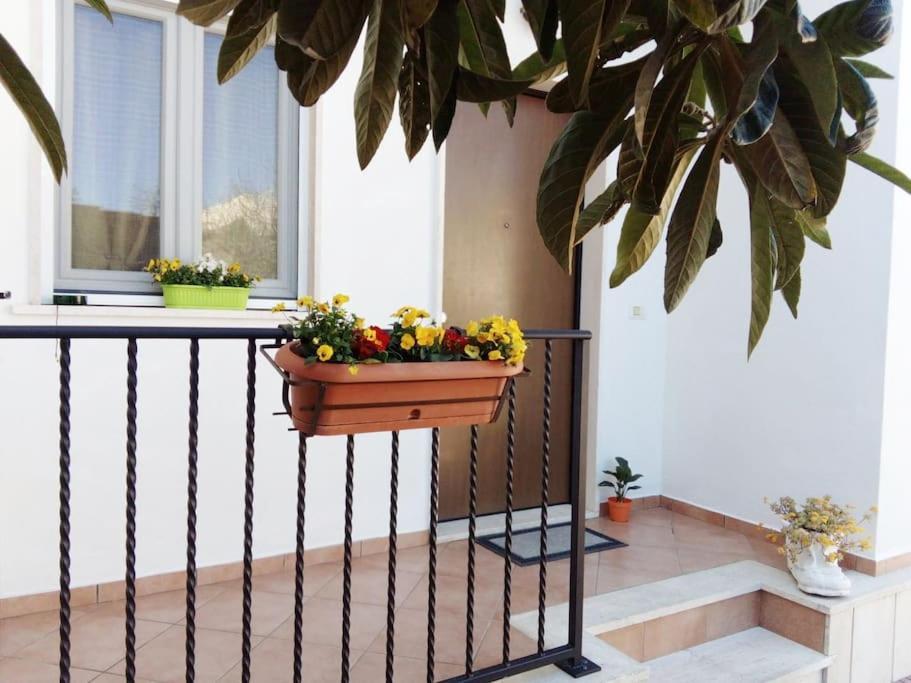 Casa Di Cristina Lejlighed Fiumicino Eksteriør billede