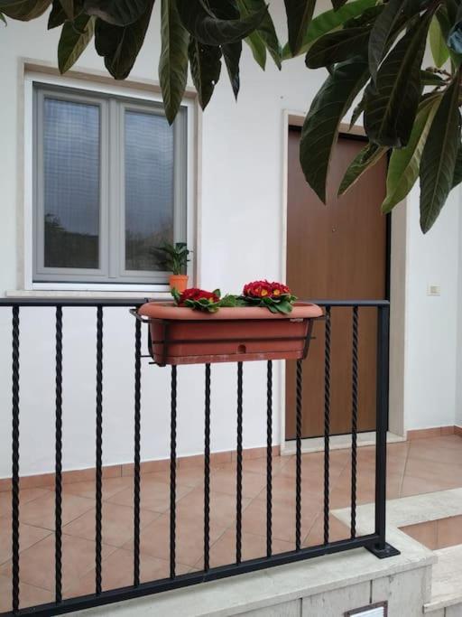 Casa Di Cristina Lejlighed Fiumicino Eksteriør billede